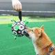 Interactive Soccer Brain Game for Dogs